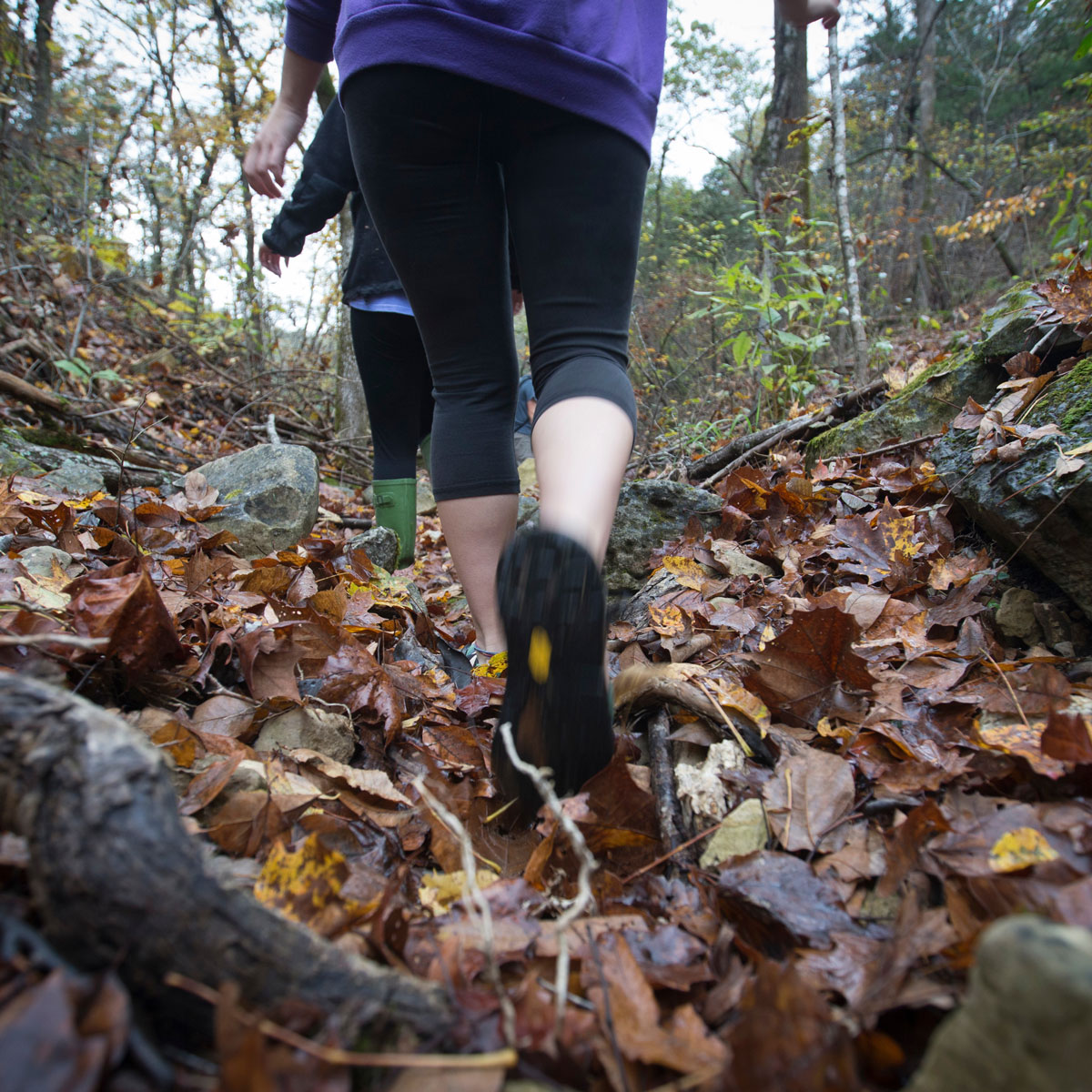 Two people's shoes trample on leaf-covered ground.